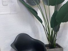 -红像馆连锁精致证件照职场照(中关村店)