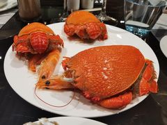 -顺德美的万豪酒店·自助餐·贡厨