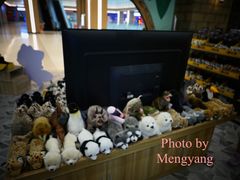 -MR.ZOO小小动物元室内动物园(沈阳沈河盛京中心)
