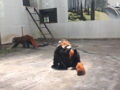 -西安秦岭野生动物园