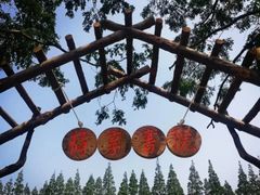 -前小桔亲子创意农场·草莓采摘·露营烧烤