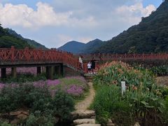 -广州市石门国家森林公园