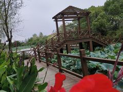 -艾溪湖湿地公园