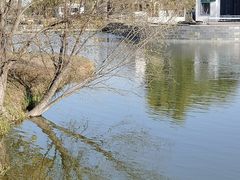 -西安浐灞国家湿地公园