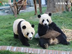 -五龙山野生动物王国