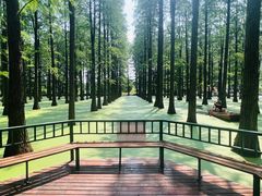 -渌洋湖湿地公园