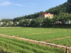-红山村
