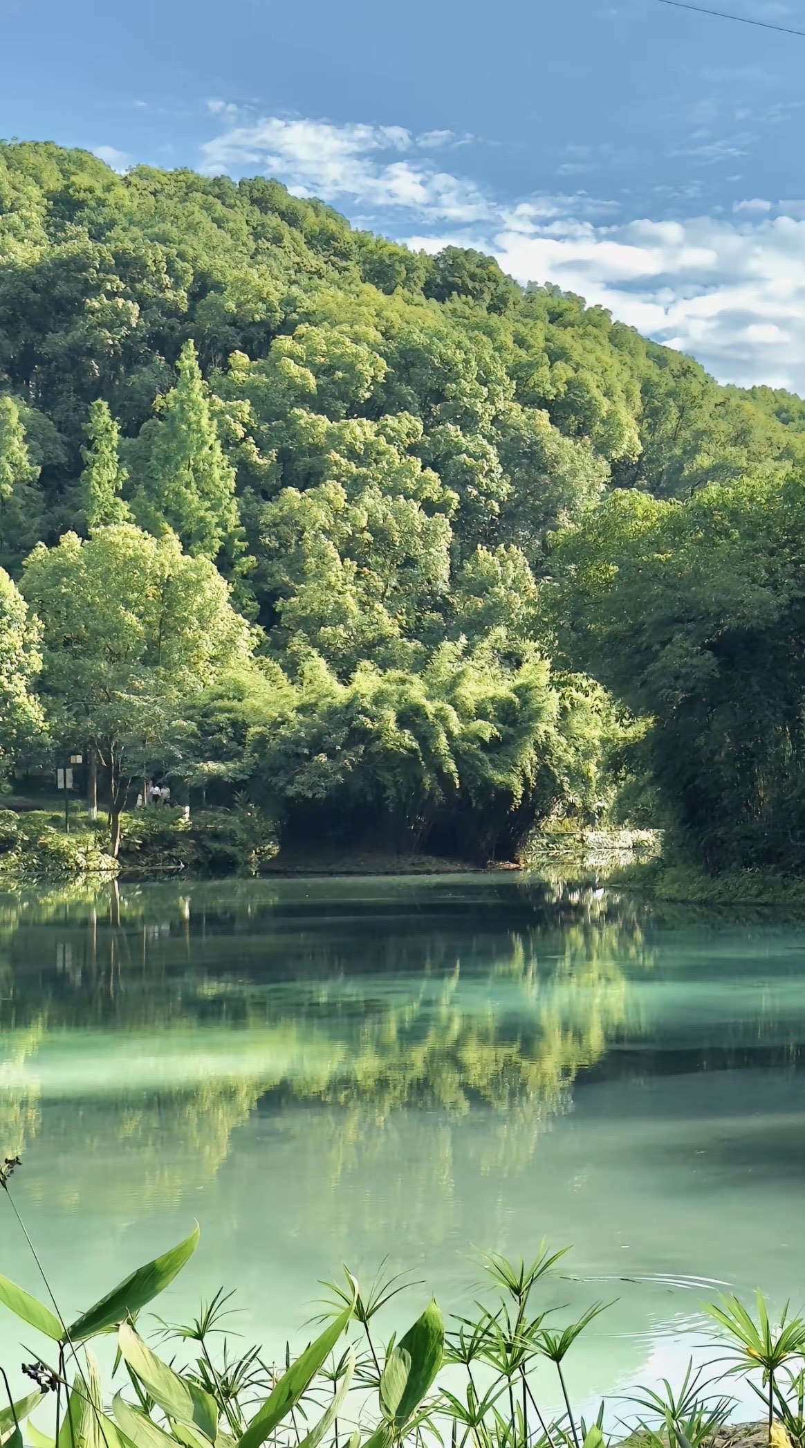 清凉照片风景图片图片