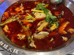 -蛙一刀·麻椒鱼火锅(金仙桥店)