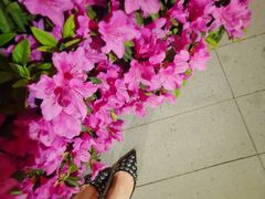-JIMMY CHOO(德基广场店)