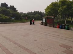 -塘沽森林公园