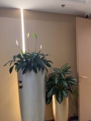 -南京康美美容医院·旗舰店
