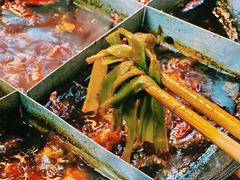 贡菜-安胖老火锅(两路口店)