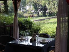 -野蔓果·山野菜(西湖景区·龙井茶田店)