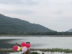 -风云岭森林公园