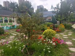 -长春公园(普阳街道)