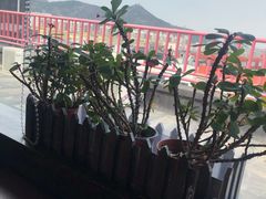 -合利屋(中发百旺商城店)