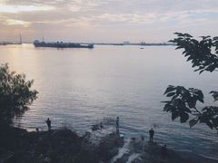 -巴陵全鱼席(湖南老字号汴河街店 )