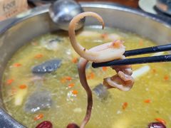 -云鱿记鱿鱼鸡·野生菌火锅(人民南路店)