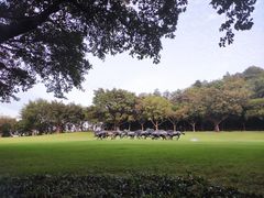 -广州雕塑公园
