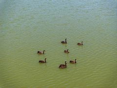 -长兴太湖图影湿地文化园