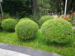 -人民公园(罗湖区)