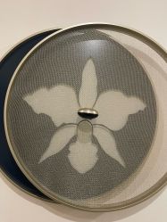 -法国娇兰精品店