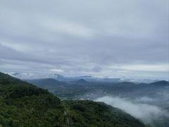 -呀诺达热带雨林
