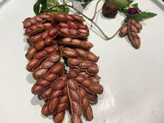 话梅恋花生-九十九顶毡房(阜石路店)