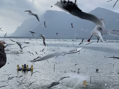 -海埂大坝