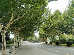 -南京航空航天大学(将军路校区)