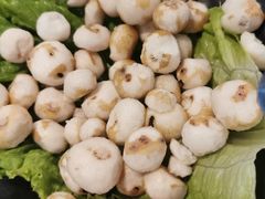 -东椰·海南椰子鸡火锅(朝阳门店)