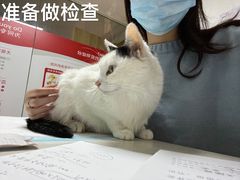 -乐琪宠物医院·犬猫专科·骨外科·急重症