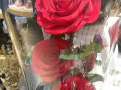 -谷莠子花艺·气球派对·绿植造景·花艺沙龙(金光华广场店)