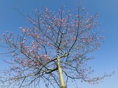 -益利大酒楼(井岸店)