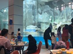 -帝企鹅自助餐厅•儿童岛•真企鹅(长隆企鹅酒店)