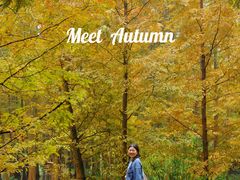 -桤木河湿地公园