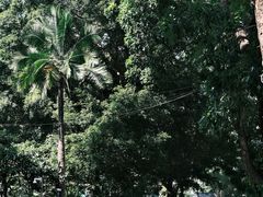 -simple hut简屋咖啡