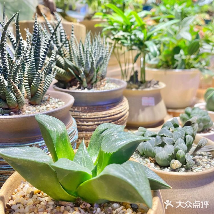 广州探店丨一家适合消磨时光的书店☕📖