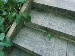 -春晖园度假酒店温泉