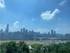 -丽晶轩中餐厅(重庆丽晶酒店)