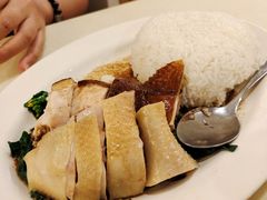 白切鸡拼油鸡-永盈茶餐厅(中山四路店)