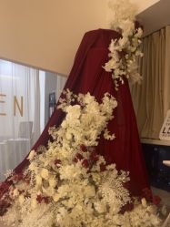 -ST时柒·问题肌抗衰美颜所