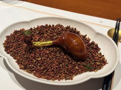 -觀芷隐轩
