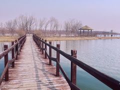 -西青郊野公园