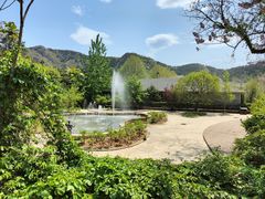 -燕塞湖鸟语林景区