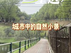 -黛秀湖公园