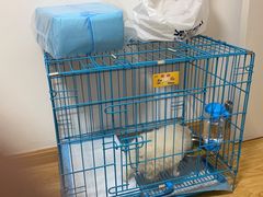 -翊宠yipet猫狗购宠庄园犬舍•猫舍