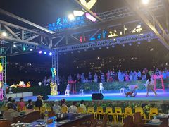 -渔家火锅·海鲜自助餐·演艺(亚龙湾天域酒店)