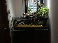 -Together·泰式按摩精油SPA(天山店)